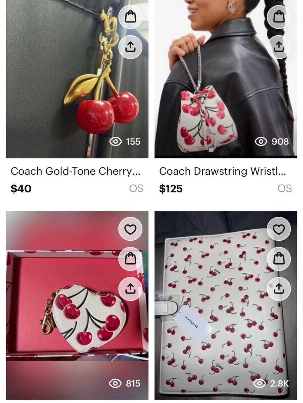 Coach CHERRY Bundle